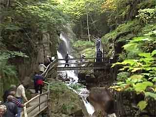 صور Franconia Notch State Park متنزه وطني